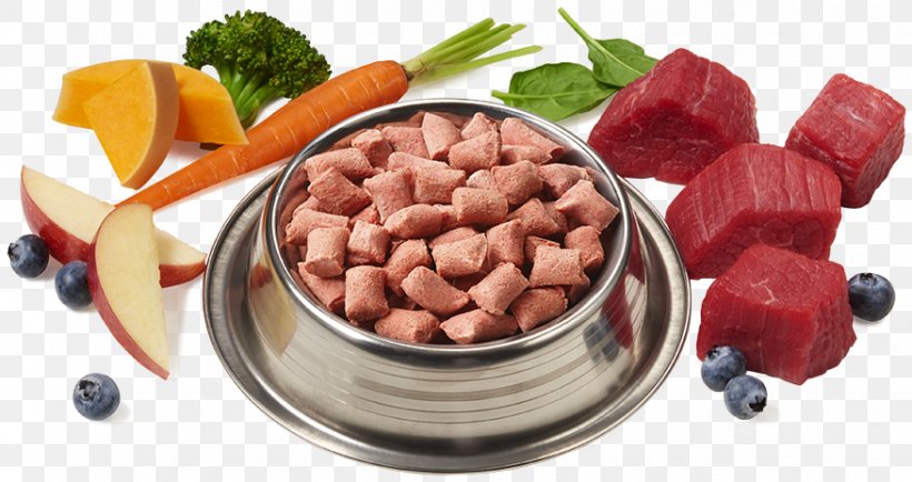 Raw Foodism Dog Vegetarian Cuisine Cat Food, PNG, 876x464px, Raw Foodism, Can, Cat, Cat Food, Cuisine Download Free