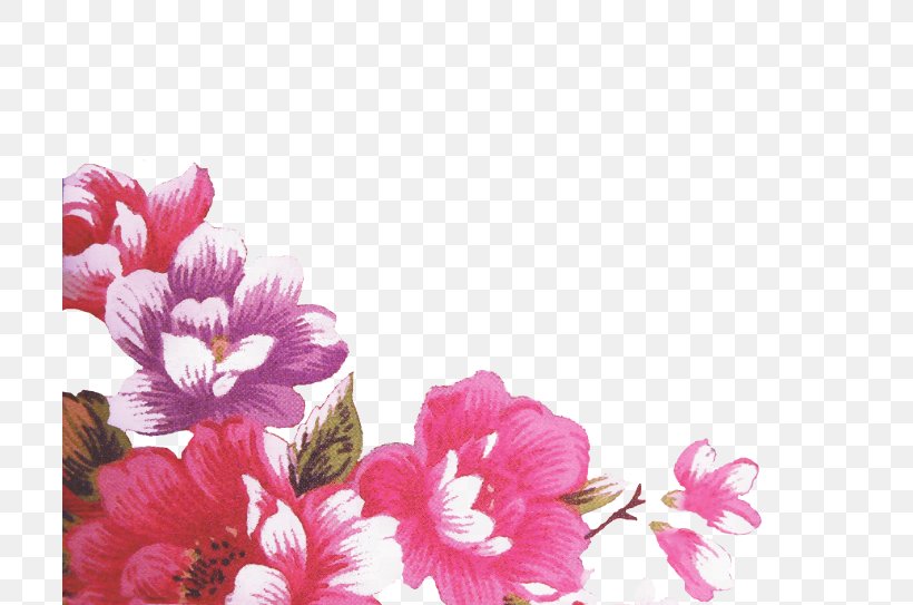 Azalea Floral Design Image Flower Foundation, PNG, 710x543px, Azalea, Blog, Blossom, Counseling Psychology, Cut Flowers Download Free
