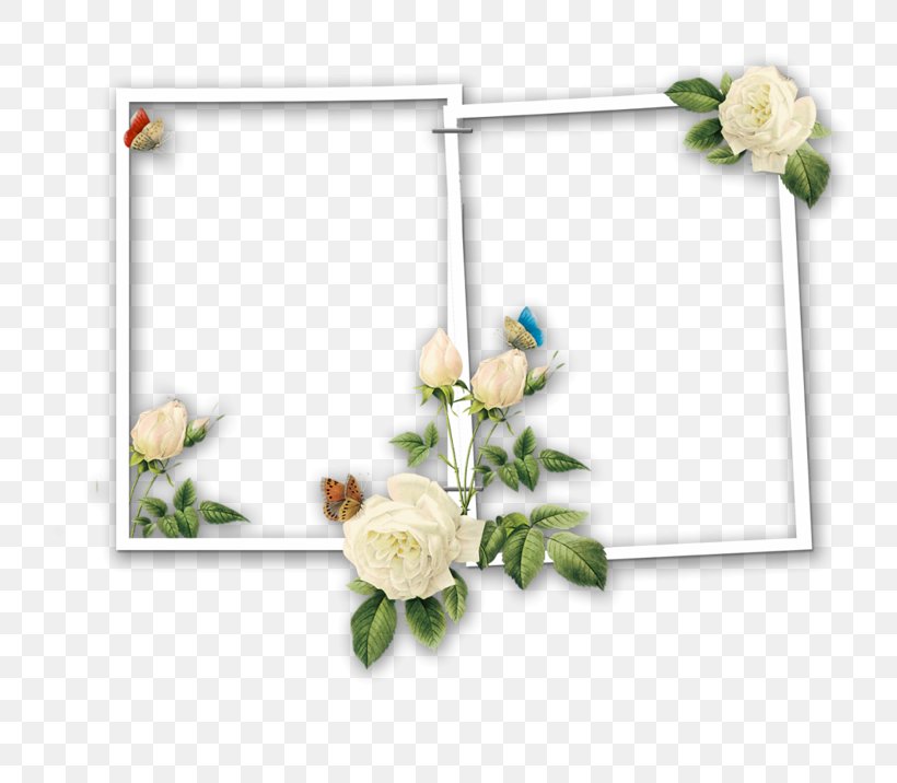 Borders And Frames Day Of The Dead Picture Frames Image, PNG, 800x716px, Borders And Frames, All Souls Day, Calavera, Collage, Cut Flowers Download Free