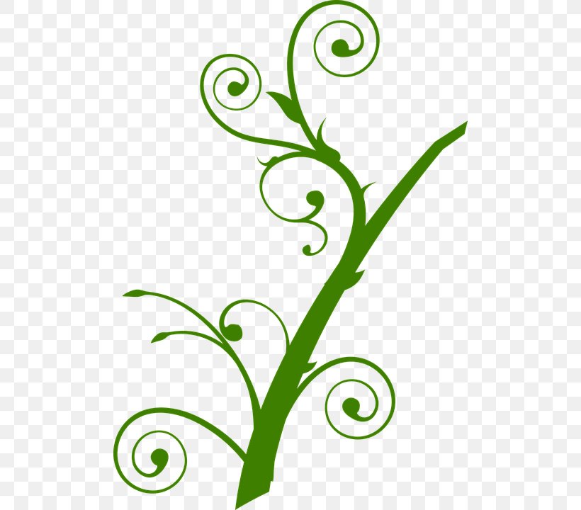 Branch Tree Drawing Clip Art, PNG, 500x720px, Branch, Area, Artwork, Drawing, Flora Download Free