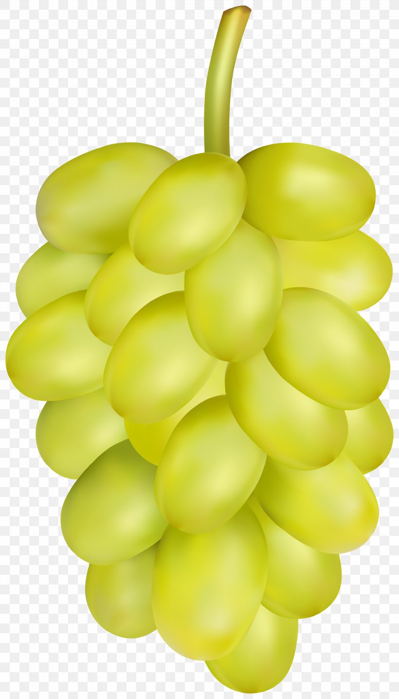 Common Grape Vine Sultana Seedless Fruit Zante Currant, PNG, 4571x8000px, Grape, Common Grape Vine, Flower, Flowering Plant, Food Download Free