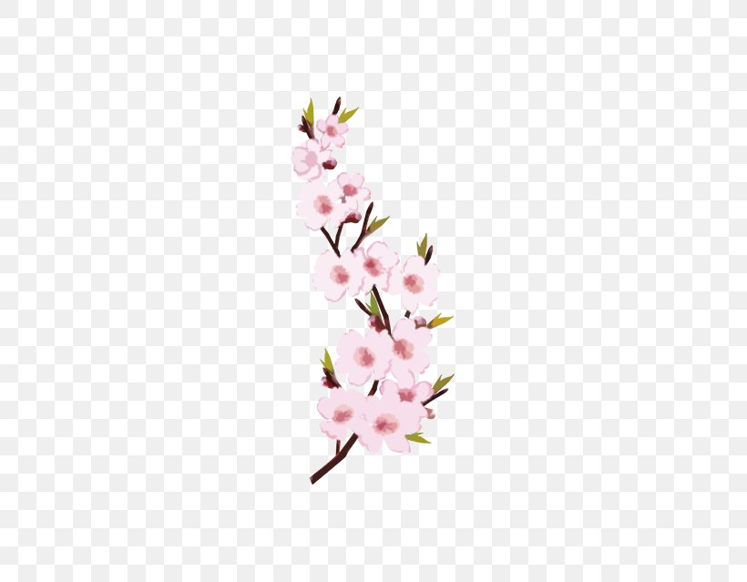 Download Peach, PNG, 579x639px, Peach, Blossom, Branch, Cherry Blossom, Flora Download Free