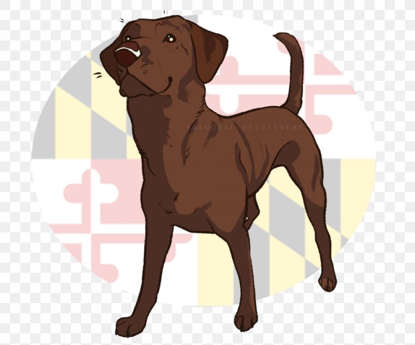 Labrador Retriever Chesapeake Bay Retriever Dog Breed Puppy Companion Dog, PNG, 979x816px, Labrador Retriever, Breed, Breeder, Cane Corso, Carnivoran Download Free