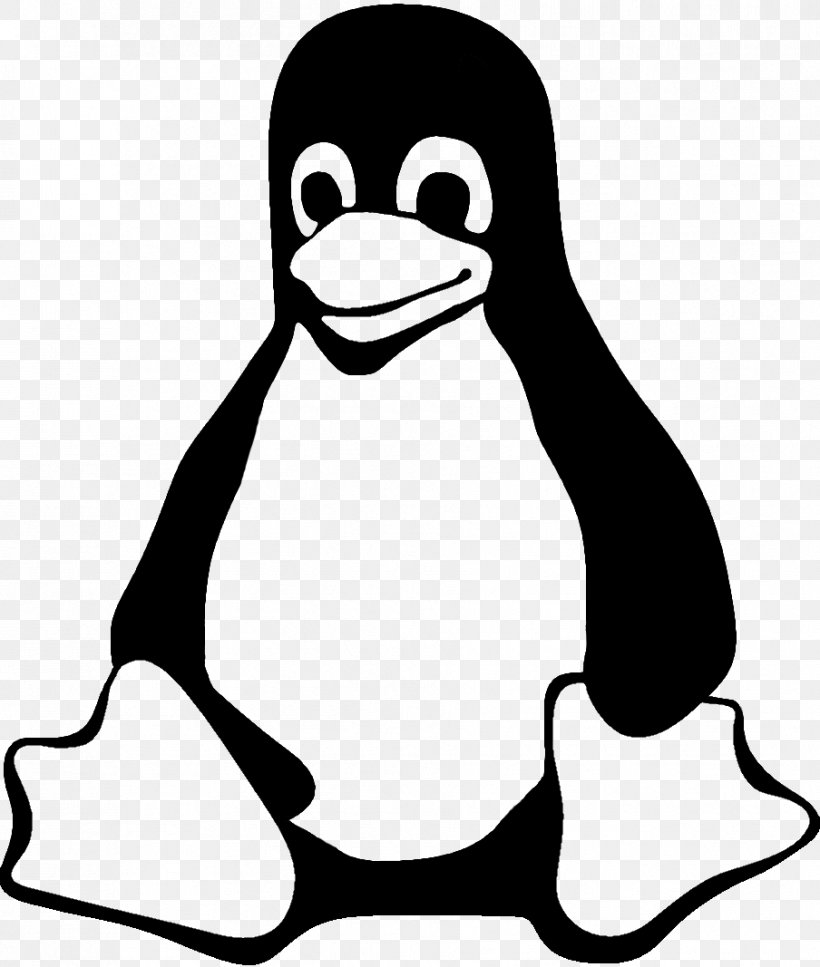 Tux Linux Ubuntu Logo Png 904x1067px Tux Artwork Beak Bird Black And White Download Free