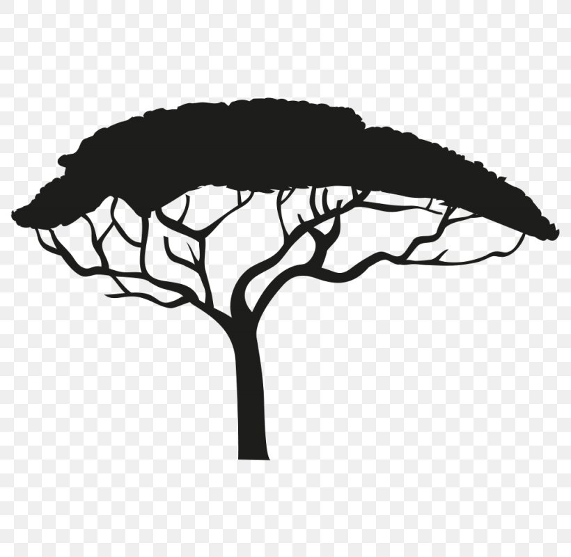 Africa Silhouette Tree Drawing, PNG, 800x800px, Africa, Beak, Black And White, Branch, Drawing Download Free