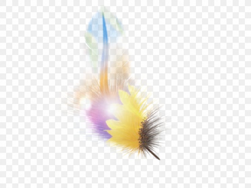 Desktop Wallpaper Feather Computer, PNG, 1024x768px, Feather, Computer, Wing, Yellow Download Free