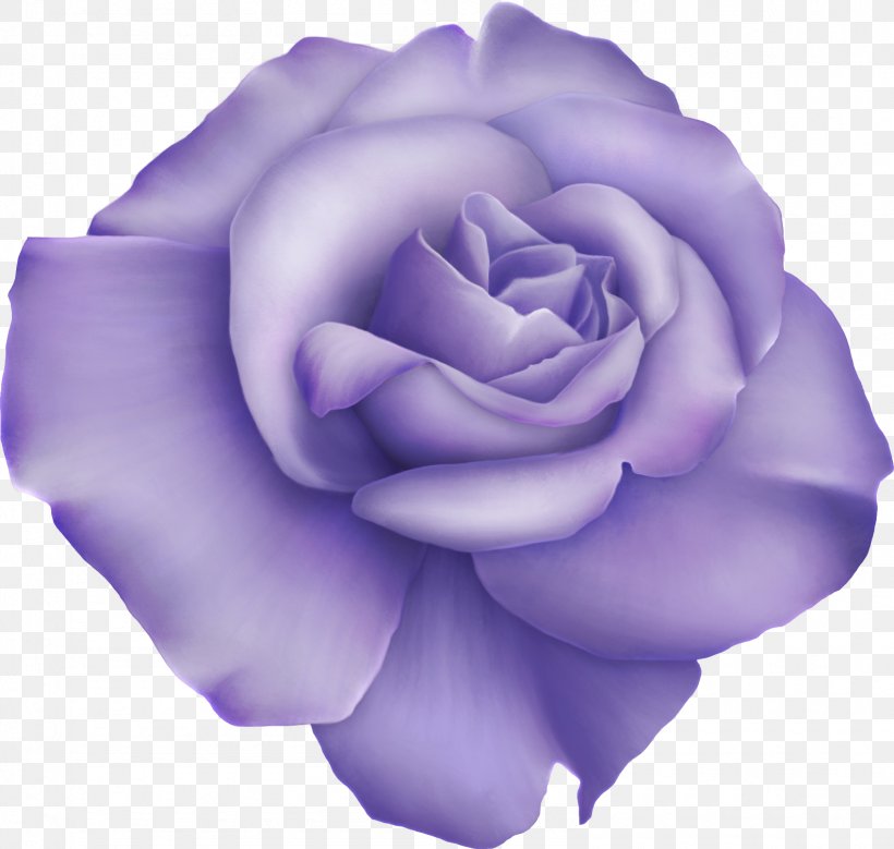 Garden Roses Digital Image Clip Art, PNG, 1585x1506px, Garden Roses, Cabbage Rose, Cut Flowers, Decoupage, Digital Image Download Free