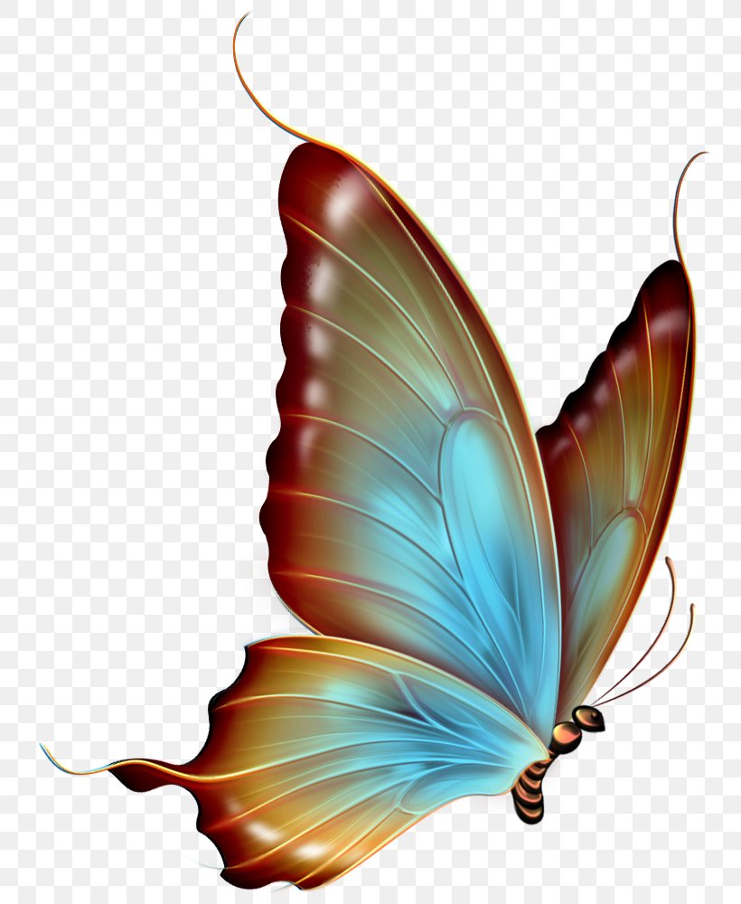 Butterfly Clip Art, PNG, 782x1000px, Butterfly, Butterflies And Moths, Butterfly Stroke, Color, Greta Oto Download Free