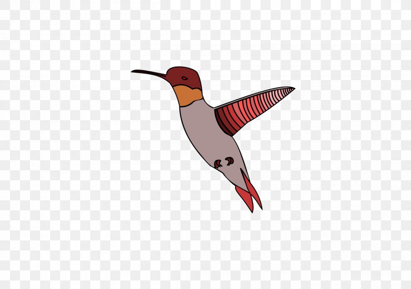 Hummingbird Wing, PNG, 2400x1691px, Hummingbird, Beak, Bird, Fauna, Line Art Download Free