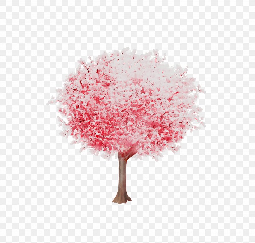 Cherry Blossom ST.AU.150 MIN.V.UNC.NR AD Pink M Cherries, PNG, 3112x2976px, Cherry Blossom, Blossom, Cherries, Cut Flowers, Flower Download Free