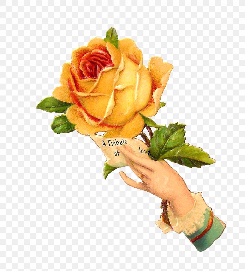 Flower Rose Vintage Clothing Clip Art, PNG, 823x912px, Flower, Antique, Cut Flowers, Floral Design, Floristry Download Free