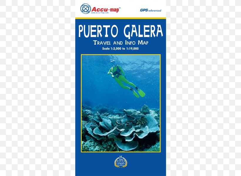 Puerto Galera Batangas International Port Road Map Accu-map, PNG, 500x600px, Puerto Galera, Aqua, Coral Reef, Coral Reef Fish, Divemaster Download Free