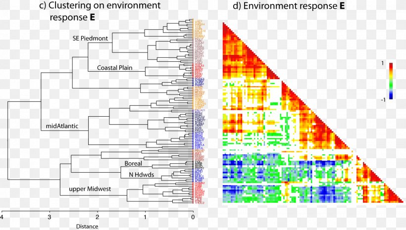 Species Distribution Ecology Cluster Analysis Rank Abundance Curve Plot, PNG, 1520x863px, Species Distribution, Area, Bayesian Inference, Cluster Analysis, Diagram Download Free