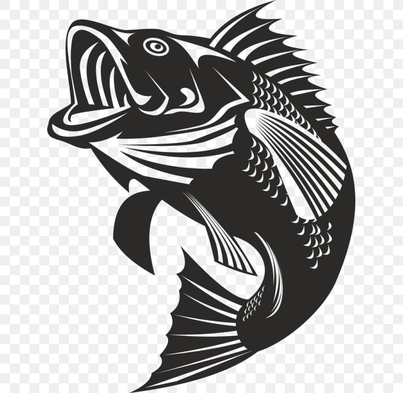 Bass Fishing Bass Fishing Largemouth Bass Angling, PNG, 800x800px, Bass, Angling, Bass Fishing, Fin, Fish Download Free