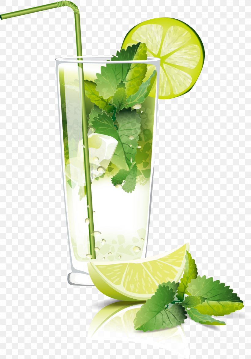 Mojito Cocktail Juice Soft Drink Carbonated Water, PNG, 1564x2236px, Mojito, Alcoholic Drink, Berry, Carbonated Water, Citrus Download Free