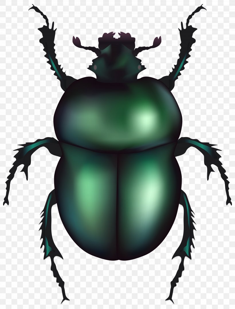 Volkswagen Beetle Dung Beetle Clip Art, PNG, 6101x8000px, Beetle, Arthropod, Cetonia Aurata, Drawing, Dung Beetle Download Free