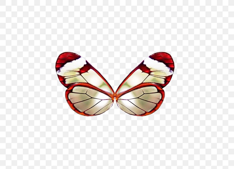 Butterfly Clip Art, PNG, 591x591px, Butterfly, Free Content, Heart, Insect, Invertebrate Download Free