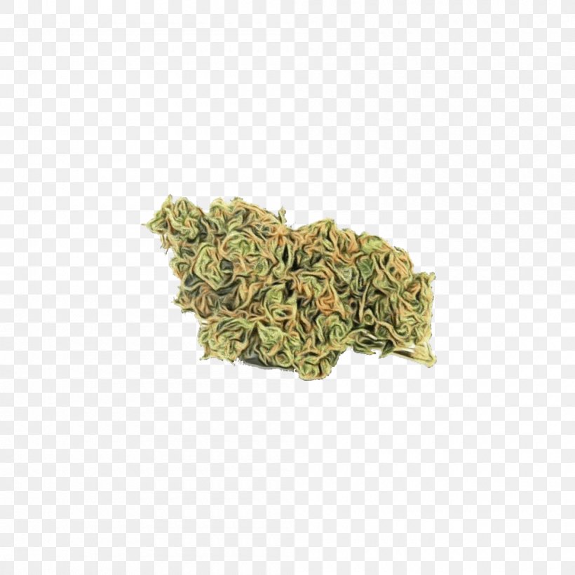 Lemon Flower, PNG, 1000x1000px, Sour Diesel, Cannabidiol, Cannabis, Cannabis Sativa, Flower Download Free