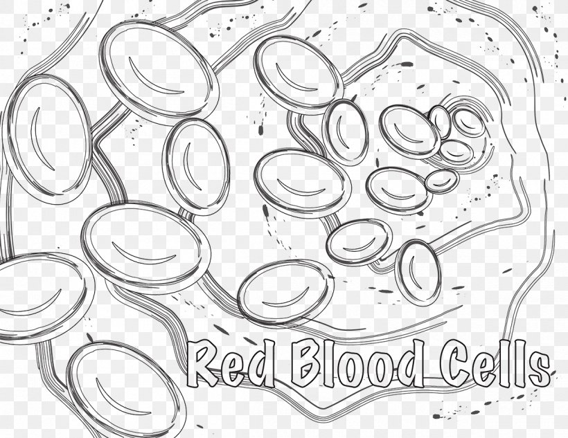 Red Blood Cell Coloring Book White Blood Cell, PNG, 1200x927px, Red Blood Cell, Anatomy, Auto Part, Biology, Black And White Download Free