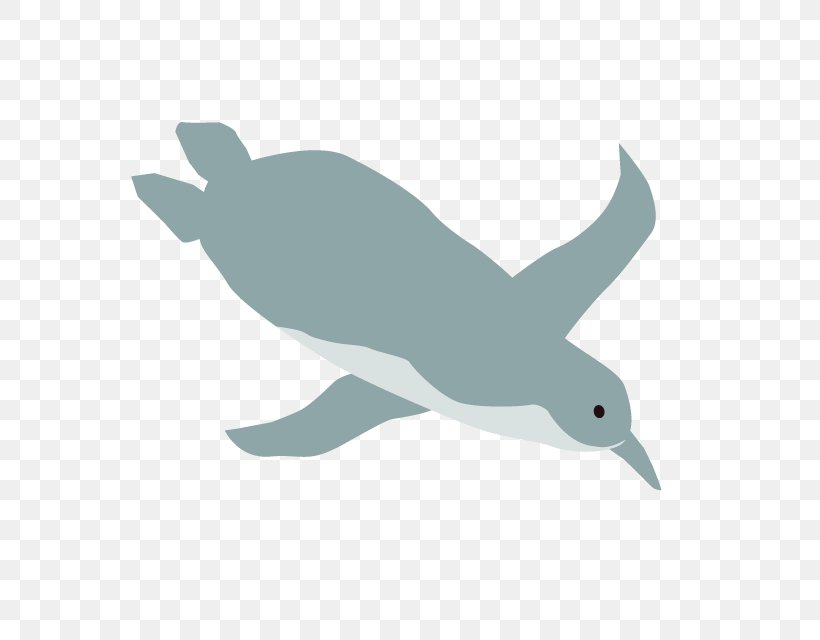 Whale Cartoon, PNG, 640x640px, Dolphin, Cetacea, Epay Systems Inc, Logo, Map Download Free