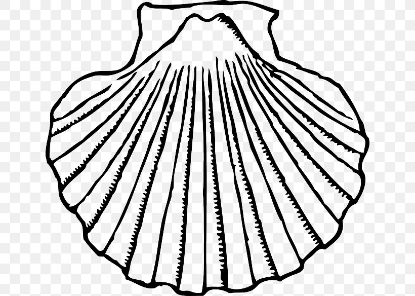 Clam Clip Art Openclipart Seashell Image, PNG, 640x584px, Clam, Artwork, Black And White, Conch, Drawing Download Free