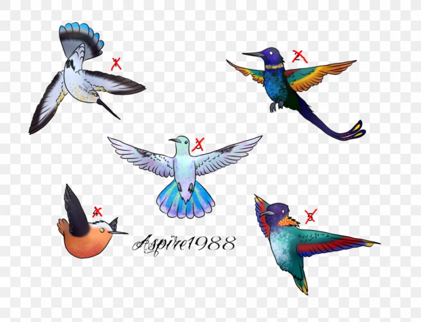 Macaw Parakeet Feather, PNG, 1021x782px, Macaw, Beak, Bird, Common Pet Parakeet, Fauna Download Free