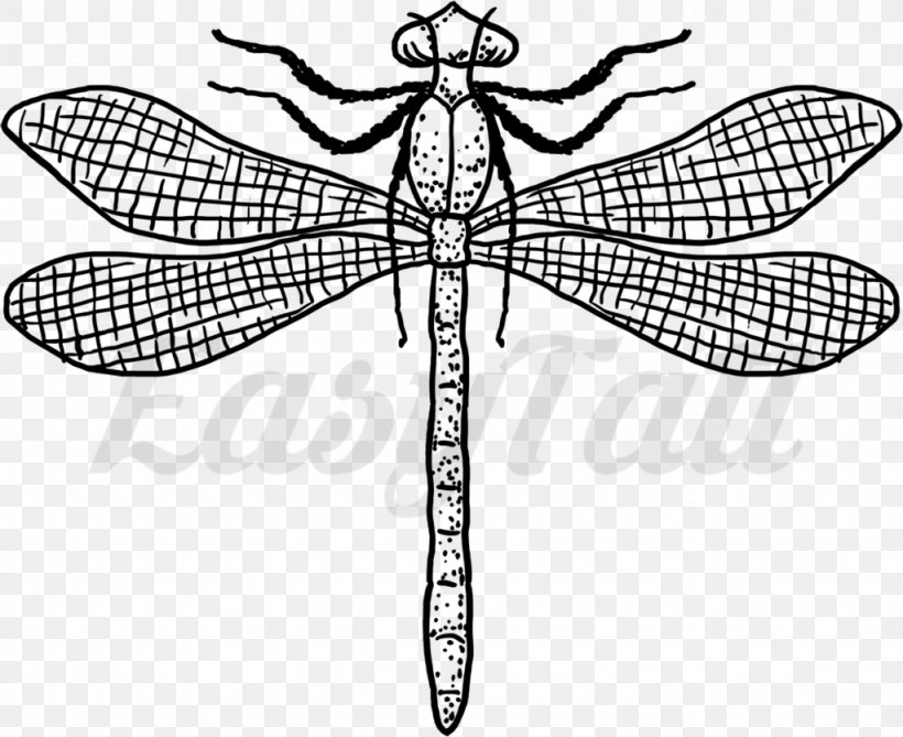 Dragonfly Insect Tattoo Line Art EasyTatt, PNG, 1024x836px, Dragonfly, Arthropod, Artwork, Australian Dollar, Black Download Free