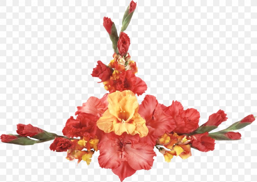 Flower Bouquet Gladiolus Desktop Wallpaper, PNG, 1200x854px, Flower, Blossom, Branch, Color, Cut Flowers Download Free