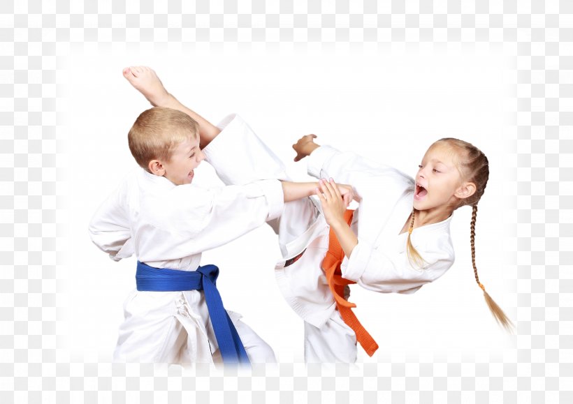 Karate Martial Arts Kick Taekwondo Shotokan, PNG, 4209x2976px, Watercolor, Cartoon, Flower, Frame, Heart Download Free