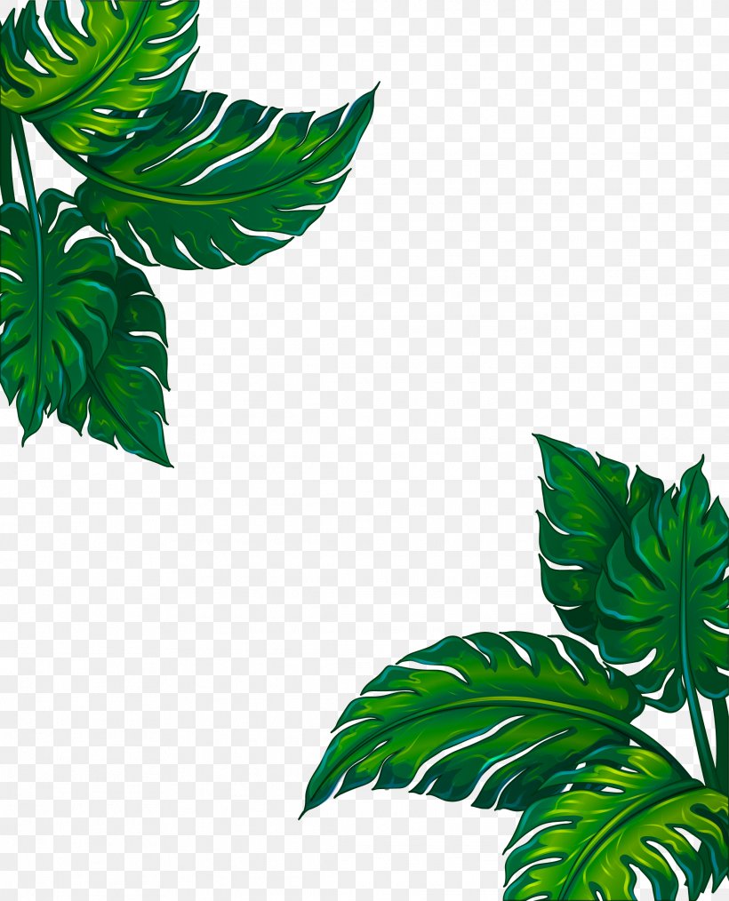 Leaf Plant Green Flower Tree, PNG, 2226x2754px, Leaf, Flower, Green, Houseplant, Plant Download Free