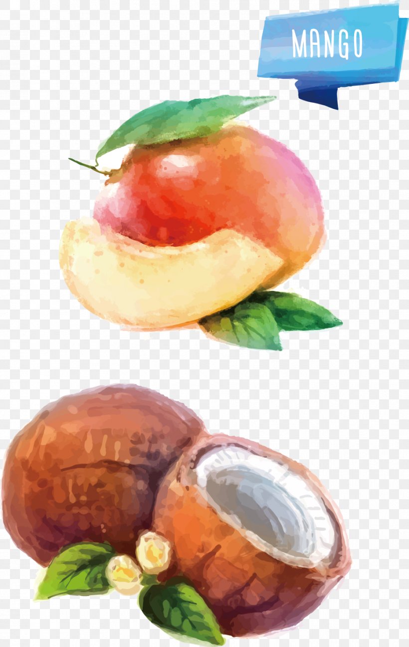 Watercolor Painting Fruit Illustration, PNG, 932x1474px, Watercolor Painting, Art, Colored Pencil, Dessert, Diet Food Download Free