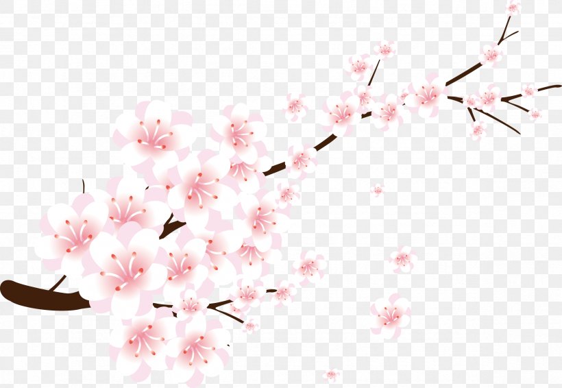 Download Gratis Clip Art, PNG, 2362x1633px, Gratis, Blossom, Branch, Cherry Blossom, Editing Download Free