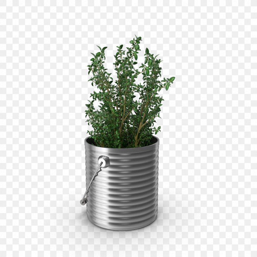 Herb Gardening Marshall Grain Company Lavado De Alfombras Y Tapetes, PNG, 1024x1024px, Herb, Customer, Flower, Flowering Plant, Flowerpot Download Free