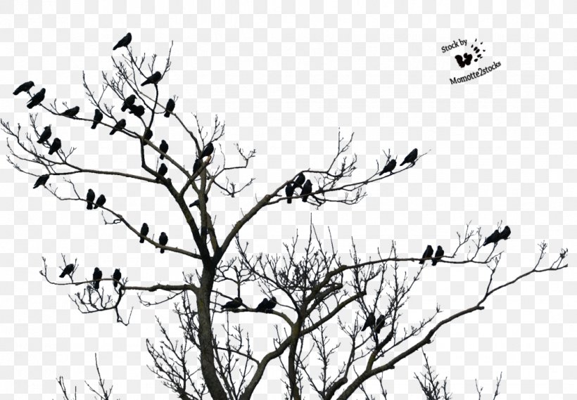 Song Rajasthan Clip Art, PNG, 1072x745px, Song, Artwork, Beak, Bird, Black And White Download Free