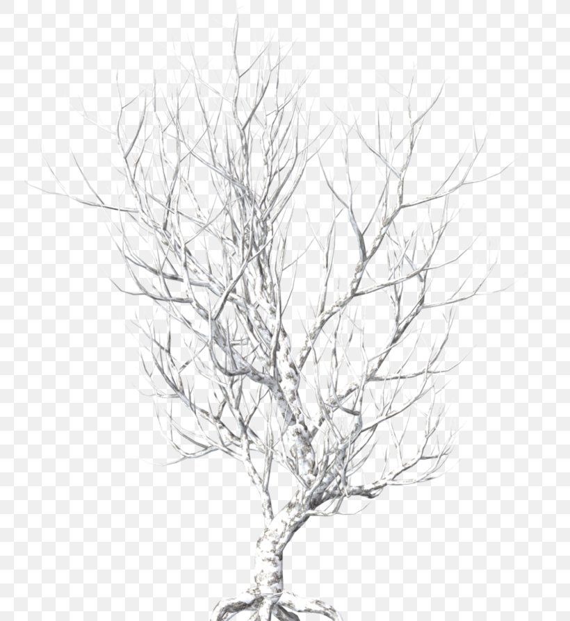 Twig Tree Image Photography, PNG, 750x894px, Twig, Art, Black And White, Branch, Deviantart Download Free