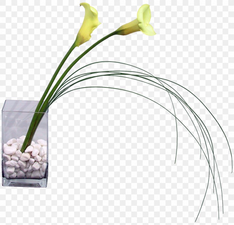 Floral Design Vase Flower Bouquet, PNG, 1200x1152px, Floral Design, Anthurium, Arum, Arum Family, Botany Download Free