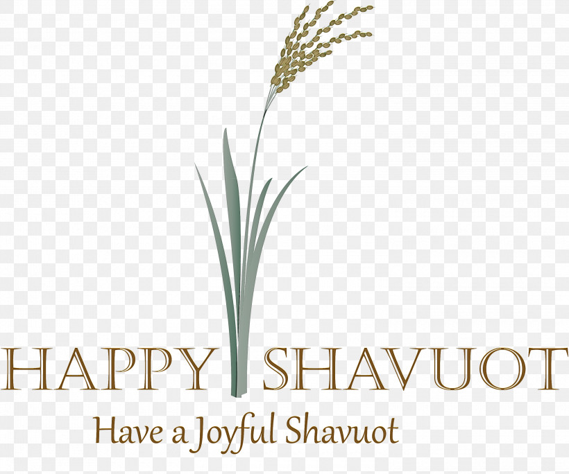 Happy Shavuot Shavuot Shovuos, PNG, 3000x2503px, Happy Shavuot, Crop, Elymus Repens, Flower, Grass Download Free