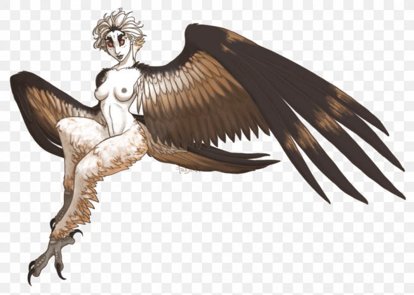 Harpy Eagle Dragon's Dogma Monster Bird, PNG, 1059x755px, Harpy, Art, Beak, Bird, Bird Of Prey Download Free