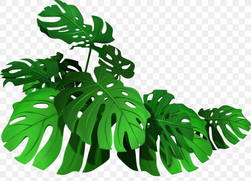 Leaf Vector Graphics Royalty-free Stock Photography Illustration, PNG, 900x650px, Leaf, Centerblog, Drawing, Grass, Green Download Free