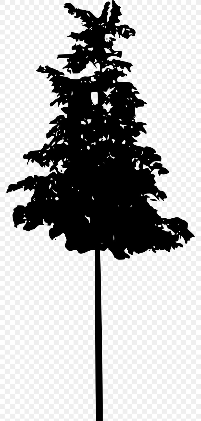 Pine Tree Spruce Conifers, PNG, 768x1710px, Pine, Black And White, Branch, Christmas Decoration, Christmas Ornament Download Free