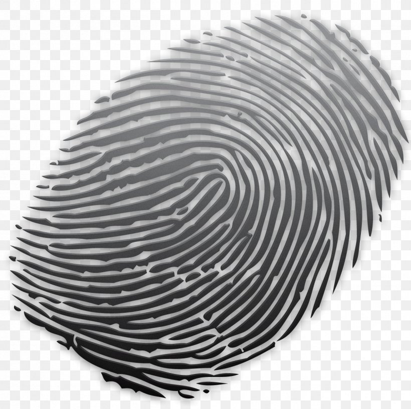 Fingerprint Powder Coating Glass Spiral, PNG, 1254x1250px, Fingerprint, Black And White, Coating, Color, Finger Download Free