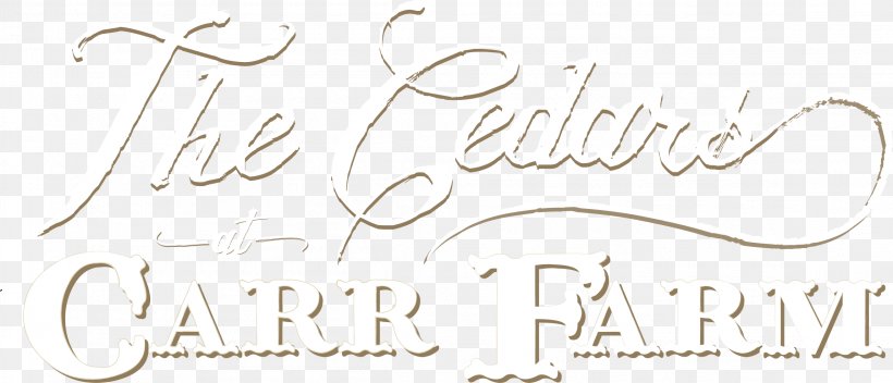 Paper Calligraphy Font Writing Line, PNG, 2298x988px, Paper, Brand, Calligraphy, Handwriting, Logo Download Free