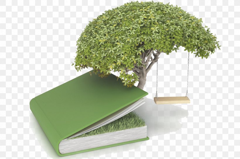 Tree Of The Knowledge Of Good And Evil Bonsai Stock Photography, PNG, 1200x800px, Tree, Bonsai, Book, Coaching, Concept Download Free