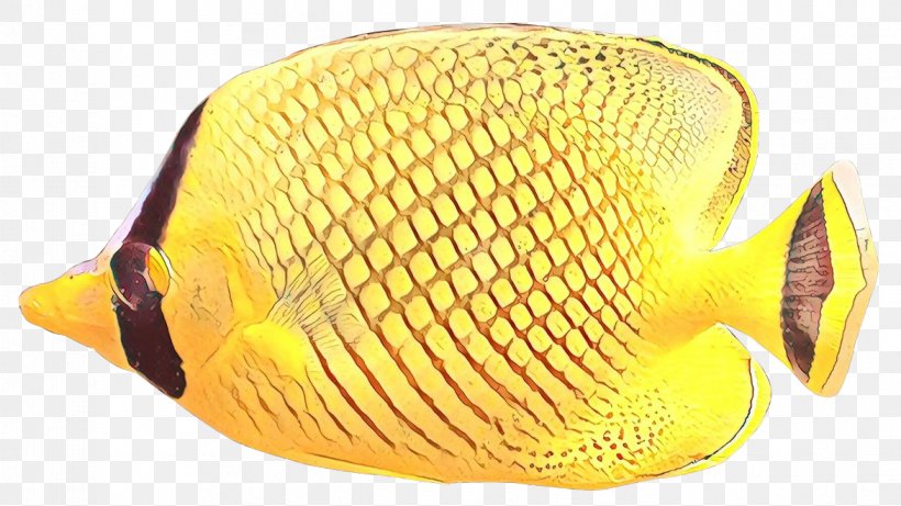 Fish Yellow Butterflyfish Pomacanthidae Headgear, PNG, 1171x659px, Cartoon, Butterflyfish, Cap, Fish, Hat Download Free