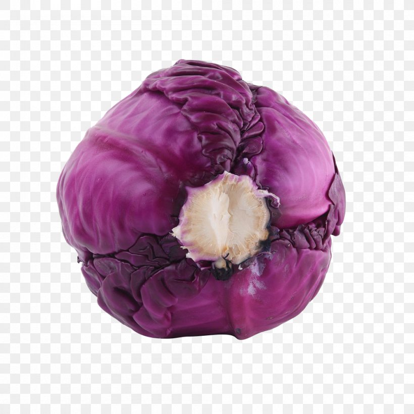 Red Cabbage Purple Violet Vegetable, PNG, 1000x1000px, Red Cabbage, Brassica Oleracea, Cabbage, Eggplant, Food Download Free