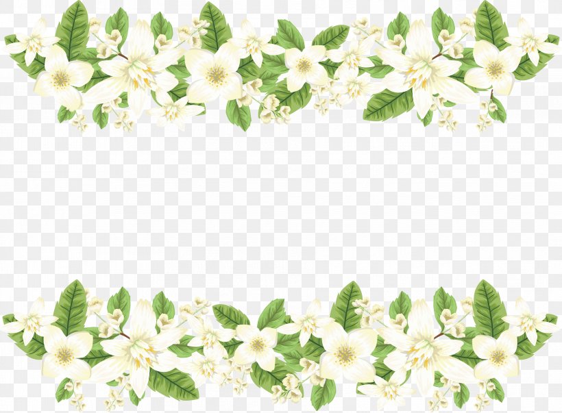 Romantic White Jasmine Border, PNG, 3614x2658px, Jasmine, Blossom, Branch, Cut Flowers, Flora Download Free