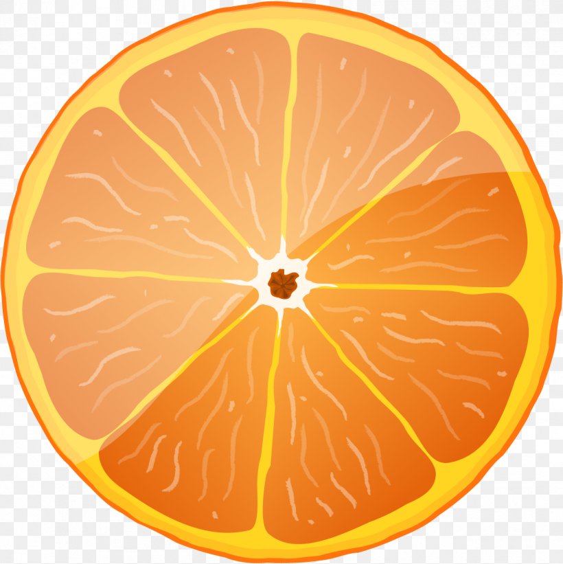 Blood Orange Royalty-free Clip Art, PNG, 1248x1251px, Blood Orange, Animation, Bitter Orange, Cartoon, Citric Acid Download Free