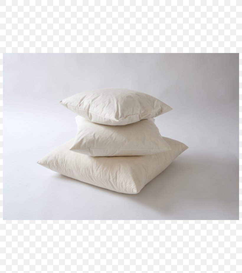 Cushion Pillow, PNG, 800x927px, Cushion, Pillow Download Free