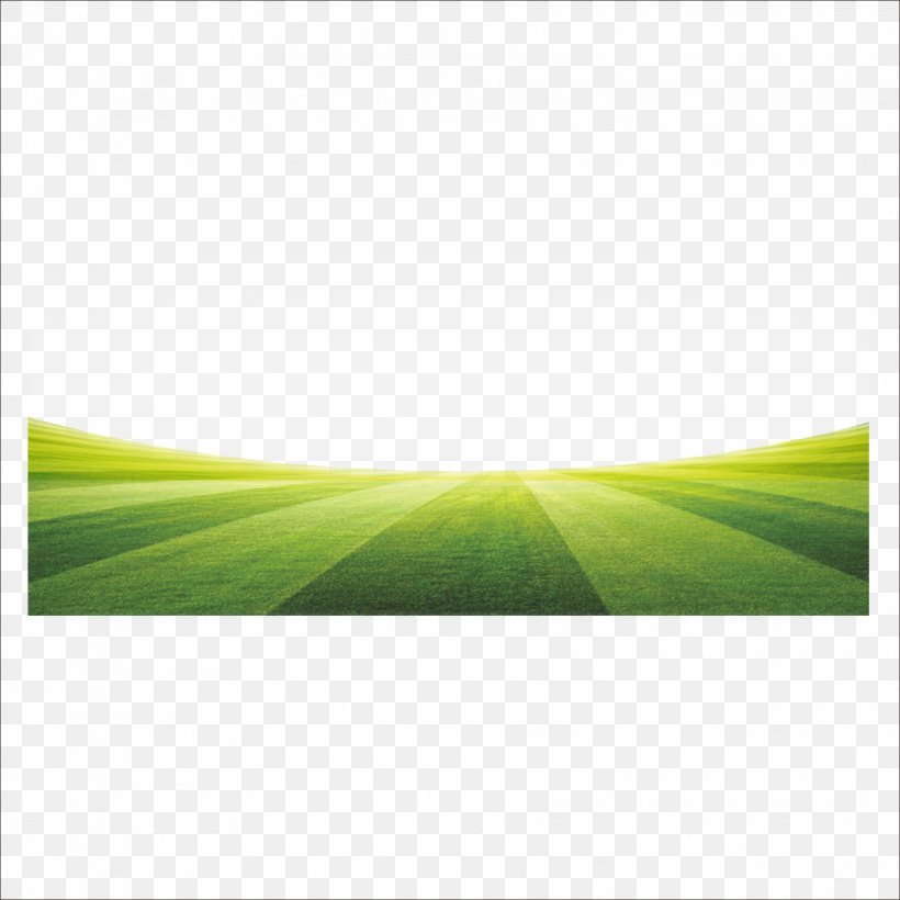 Europe, PNG, 1773x1773px, Europe, Football, Fundal, Grass, Green Download Free