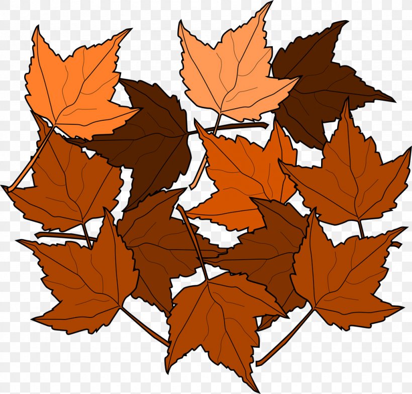 Maple Leaf Autumn Leaf Color Clip Art, PNG, 1024x979px, Leaf, Autumn, Autumn Leaf Color, Branch, Brown Download Free